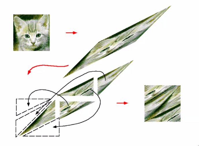 Cat Map application on a Map